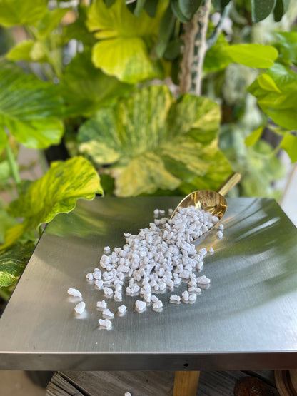 LeafLabs Perlite - Coarse #1
