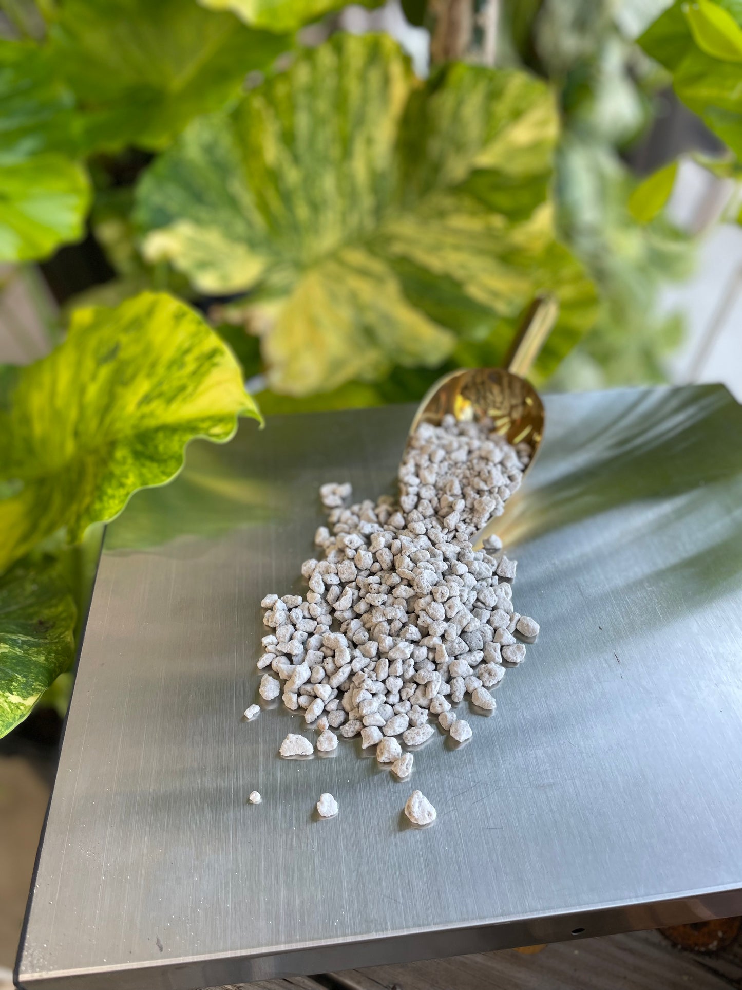 LeafLabs Pumice