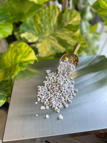 LeafLabs Pumice