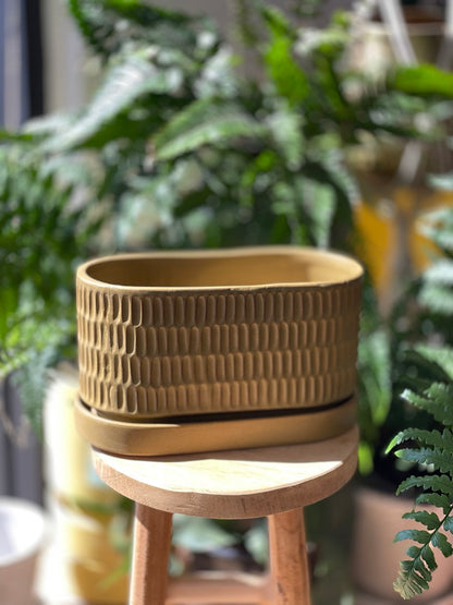 Zelle Planter
